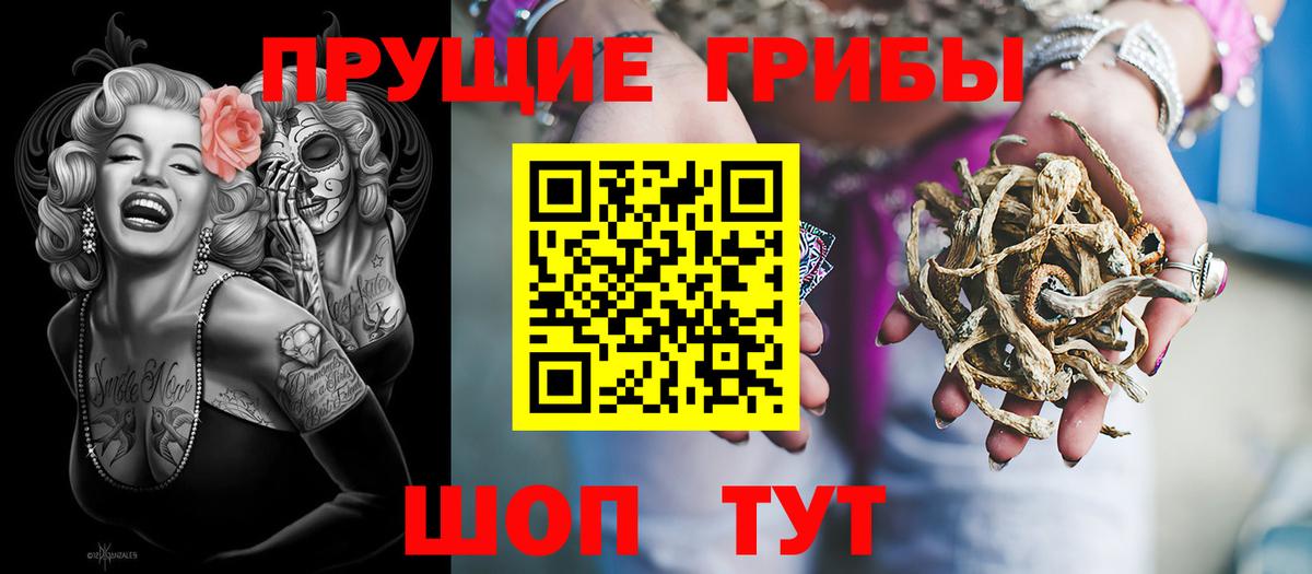 Псилоцибиновые грибы Psilocybine cubensis Топки